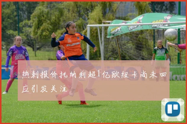 热刺报价托纳利超1亿欧纽卡尚未回应引发关注